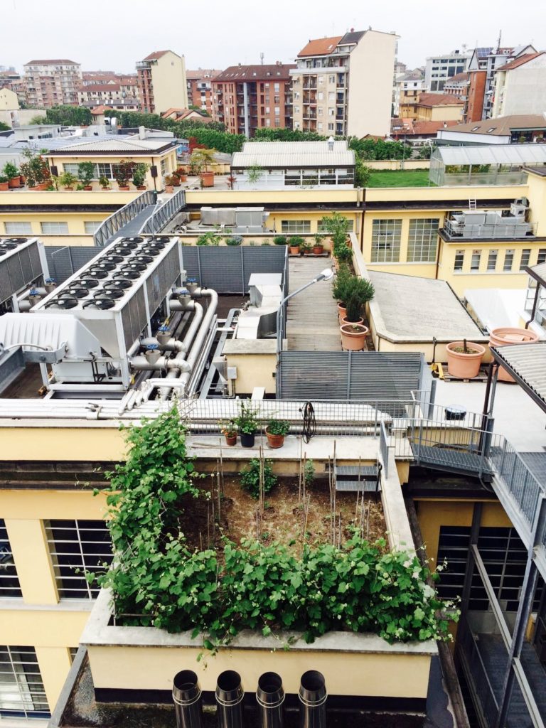 A private roofgarden in Turin