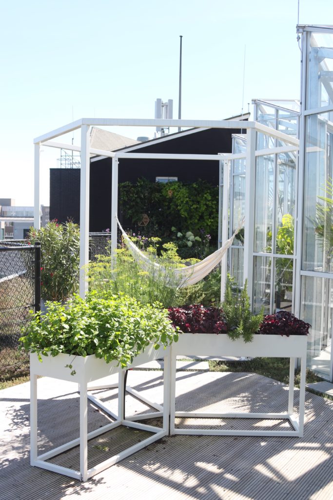 Groene interieur & exterieur oplossingen.
