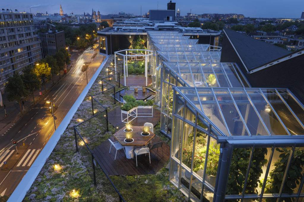 Zoku - een leefbare daktuin met eetbaar groen en binnengroen.