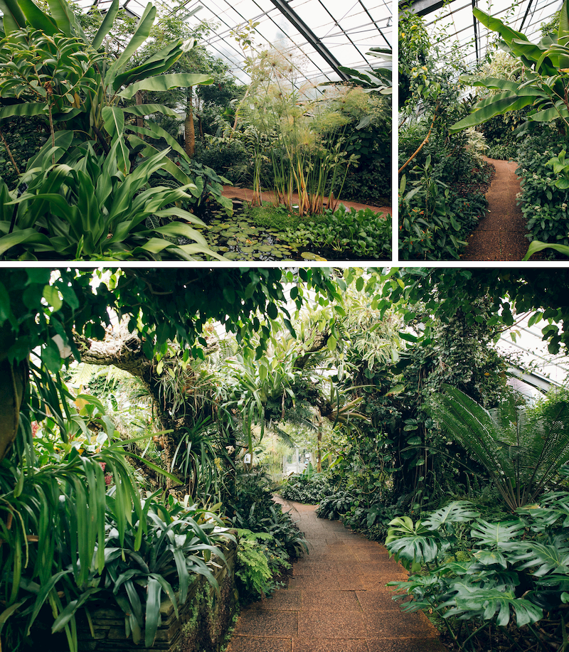 Biodome Indoor Gardens - Terrain