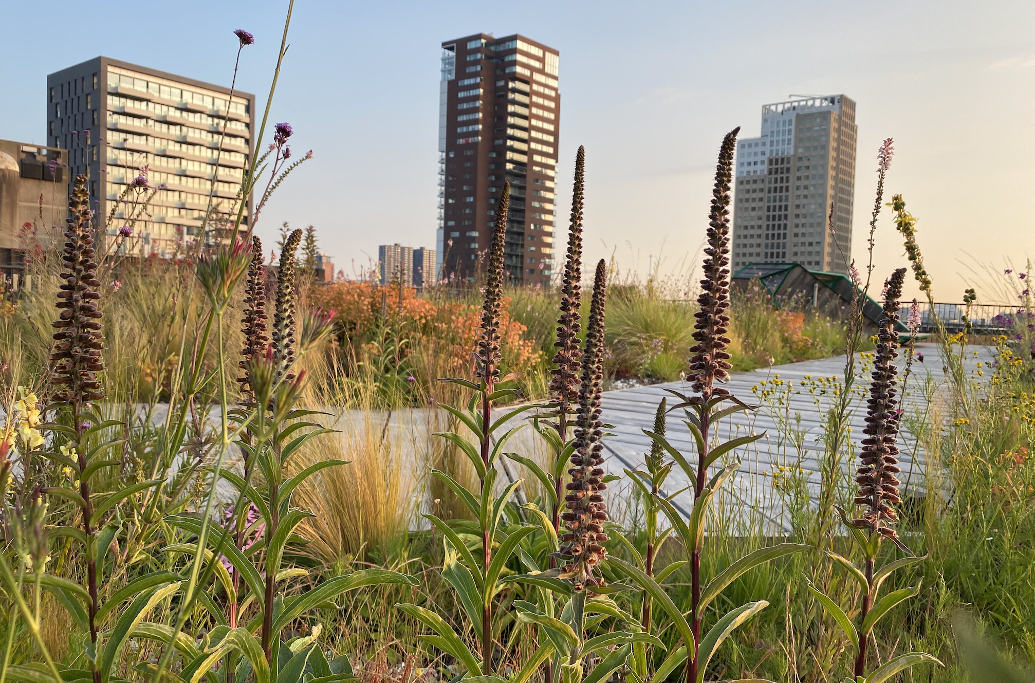 Landscape design done by Arjan Boekel / De Bloei Meesters.