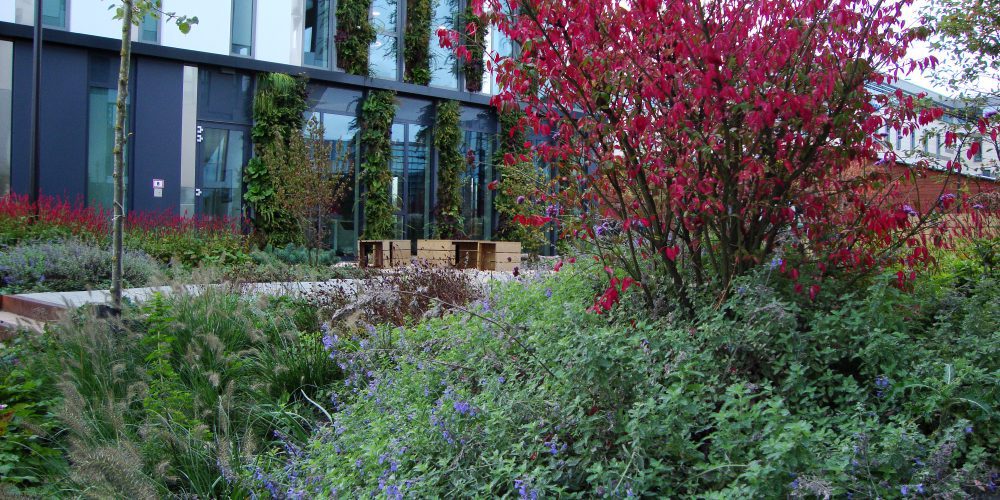 - Vibrant cheerful garden mix - Project: Stadstuin Groningen - Designer: Baljon Landschaps Architecten - Planting: Annemieke Langendoen