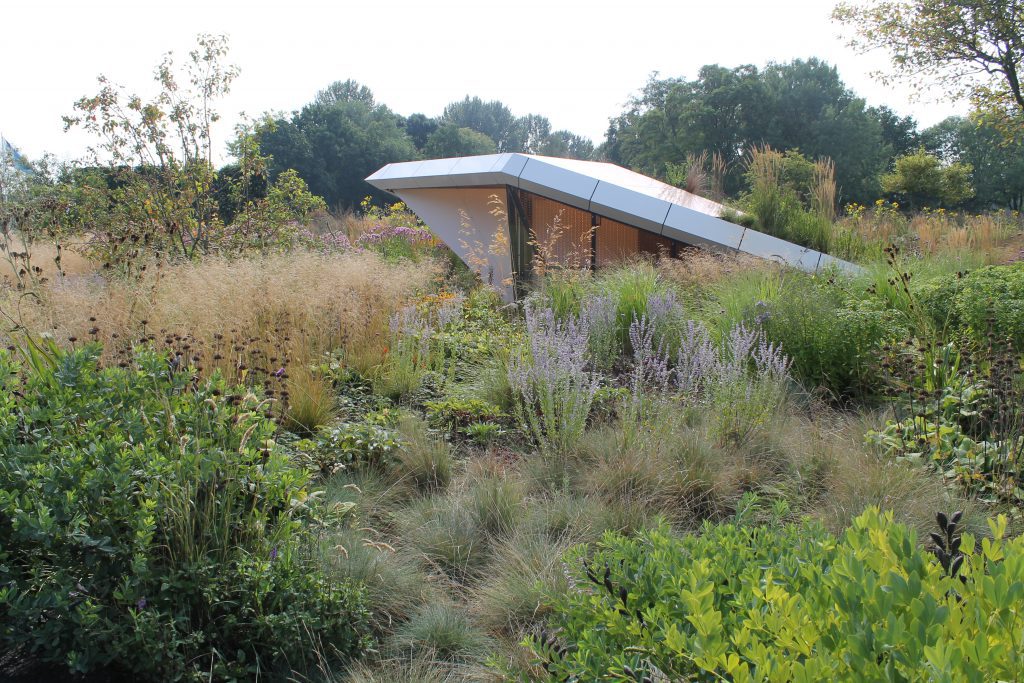 - Season experience: Annemieke’s planting design in August - Project: Stadstuin Groningen - Designer: Baljon Landschapsarchitecten - Planting: Annemieke Langendoen