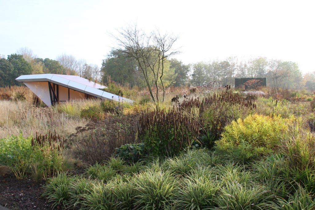 - Season experience: Annemieke’s planting design in October - Project: Stadstuin Groningen - Designer: Baljon Landschaps Architecten - Planting: Annemieke Langendoen