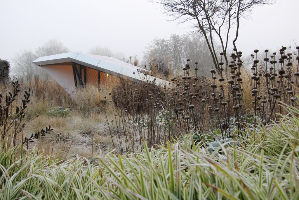 - Season experience: Annemieke’s planting design in December - Project: Stadstuin Groningen - Designer: Baljon Landschaps Architecten - Planting: Annemieke Langendoen