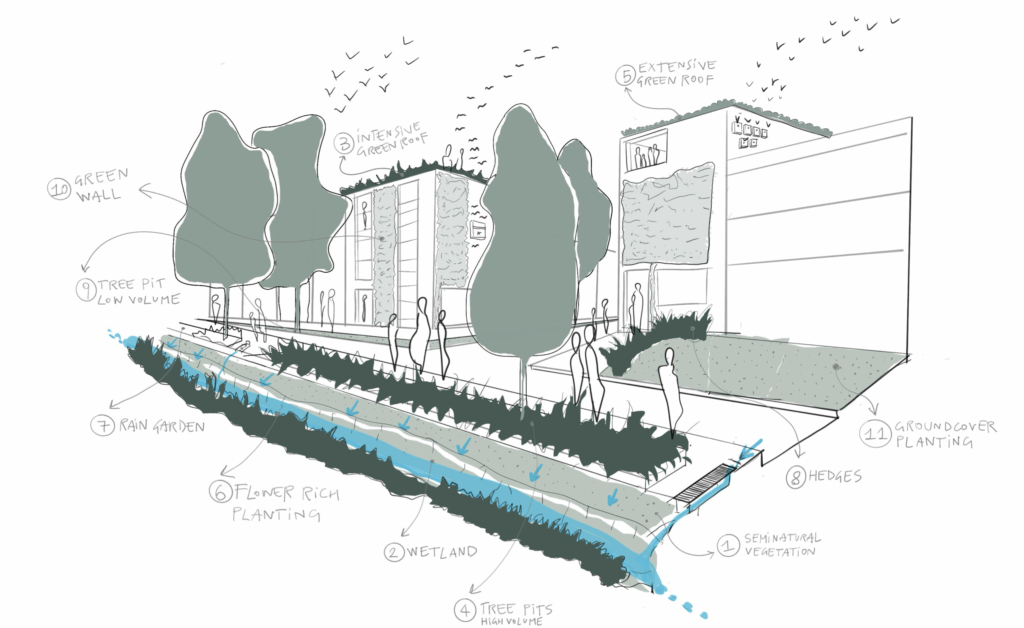 Urban Green Factor diagram showing green roofs, rain gardens, tree pits, and biodiversity planting for sustainable city design