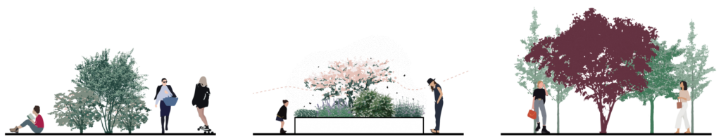 Illustration showing people interacting with planting at different scales including seating, walking, and observation