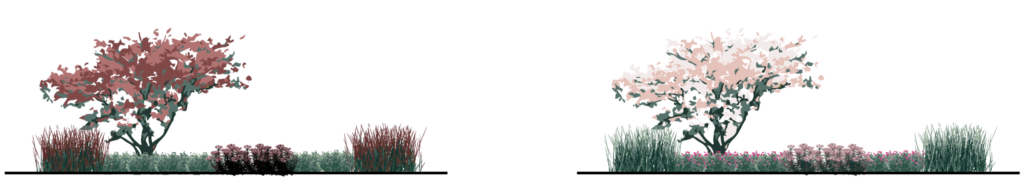 Illustration comparing different planting compositions with varying balance, contrast, and plant distribution