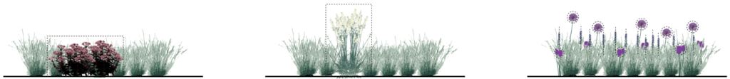 Layered planting diagram showing groundcover, grasses, and flowering perennials organized by height and density
