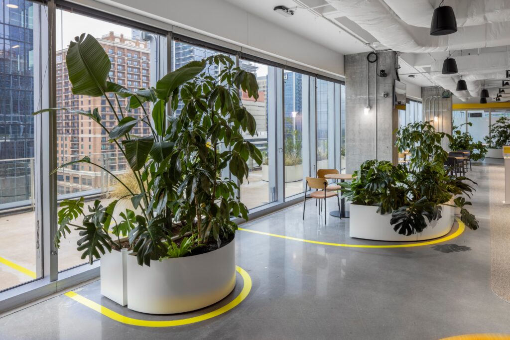 Zitzone langs de gevel in het Miro-kantoor in Austin met grote witte plantenbakken vol tropische planten, naast hoge ramen met uitzicht op de stad.