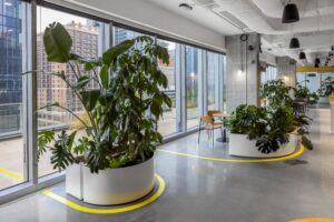 Zitzone langs de gevel in het Miro-kantoor in Austin met grote witte plantenbakken vol tropische planten, naast hoge ramen met uitzicht op de stad.