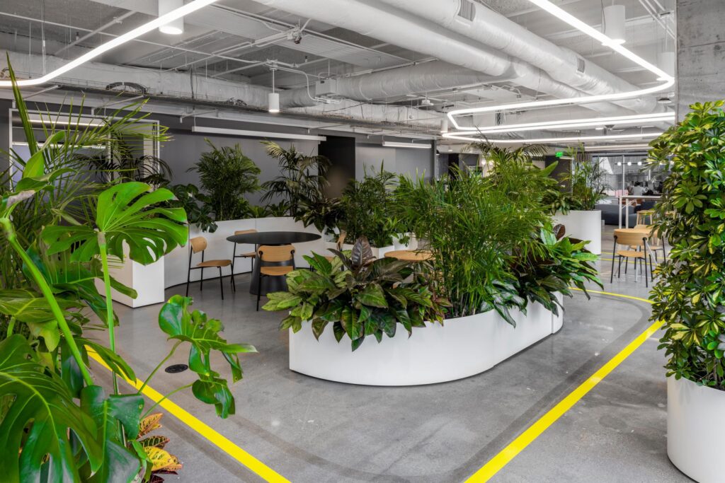 Biophilic werkruimte in het Miro-kantoor in Austin met grote, witte organische plantenbakken gevuld met tropische planten, omringd door zitplekken en industriële plafondlijnen.