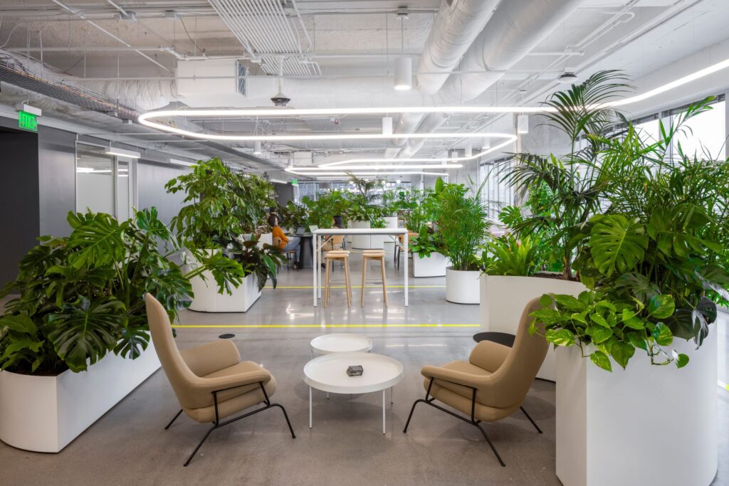 Open werkruimte in het Miro-kantoor in Austin met grote witte plantenbakken vol tropische planten, lage loungezitjes en hoge overlegtafels onder een industrieel plafond.