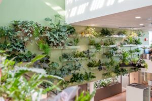 Groene plantenwand met diverse kamerplanten op wandplanken in het interieur van Aeres Hogeschool Almere, ontworpen door MOSS voor een gezonde en natuurinclusieve leeromgeving.
