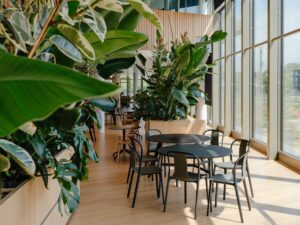 Groene zitplek in het atrium van Galapagos Leiden met grote plantenbakken, tafels en veel daglicht langs de gevel.