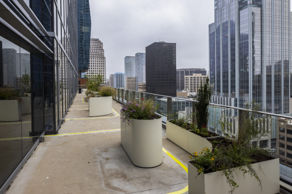 Dakterras van het Miro-kantoor in Austin met witte plantenbakken gevuld met bloemen en siergrassen, met uitzicht op de omliggende wolkenkrabbers.