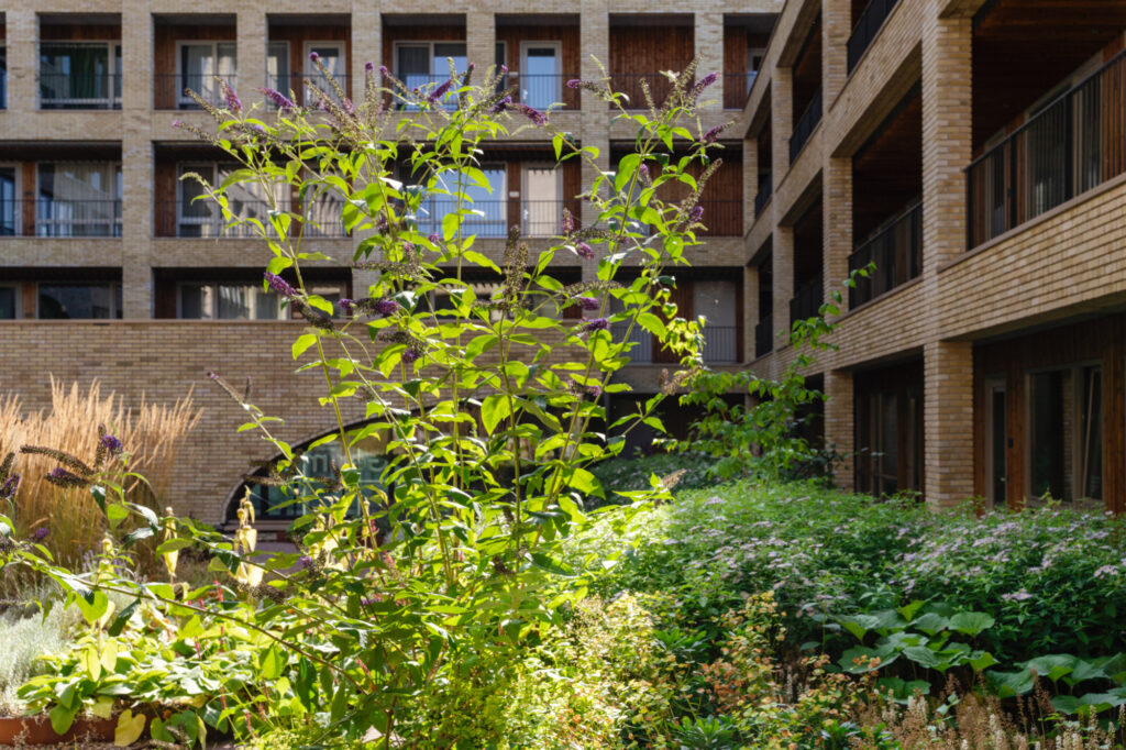 Groene binnentuin met bloeiende vlinderstruik in wooncomplex Westbeat Amsterdam