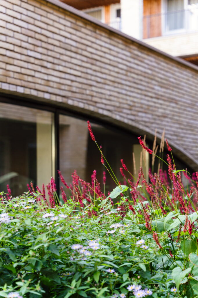 Bloeiende vaste planten in de binnentuin van wooncomplex Westbeat Amsterdam