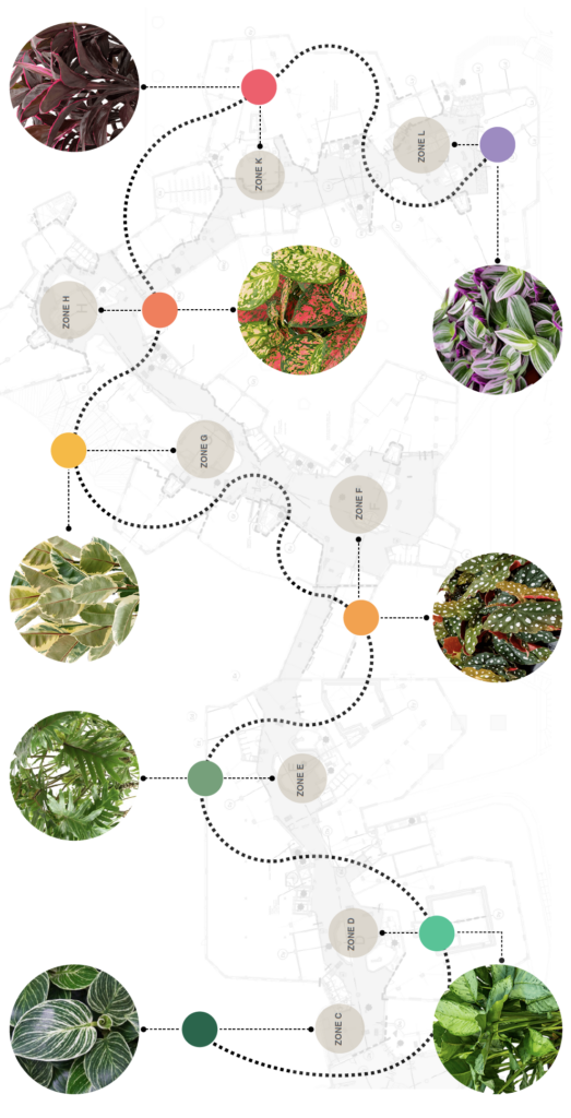 Schema van interieurbeplanting in het Zandkasteel Amsterdam, met zones en bijbehorende plantensoorten per ruimte.