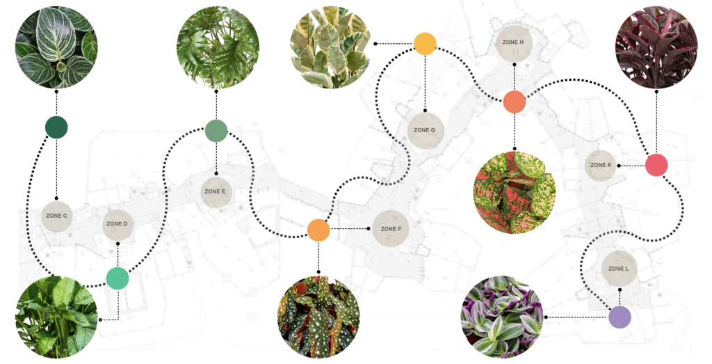 Schema van interieurbeplanting in het Zandkasteel Amsterdam, met zones en bijbehorende plantensoorten per ruimte.