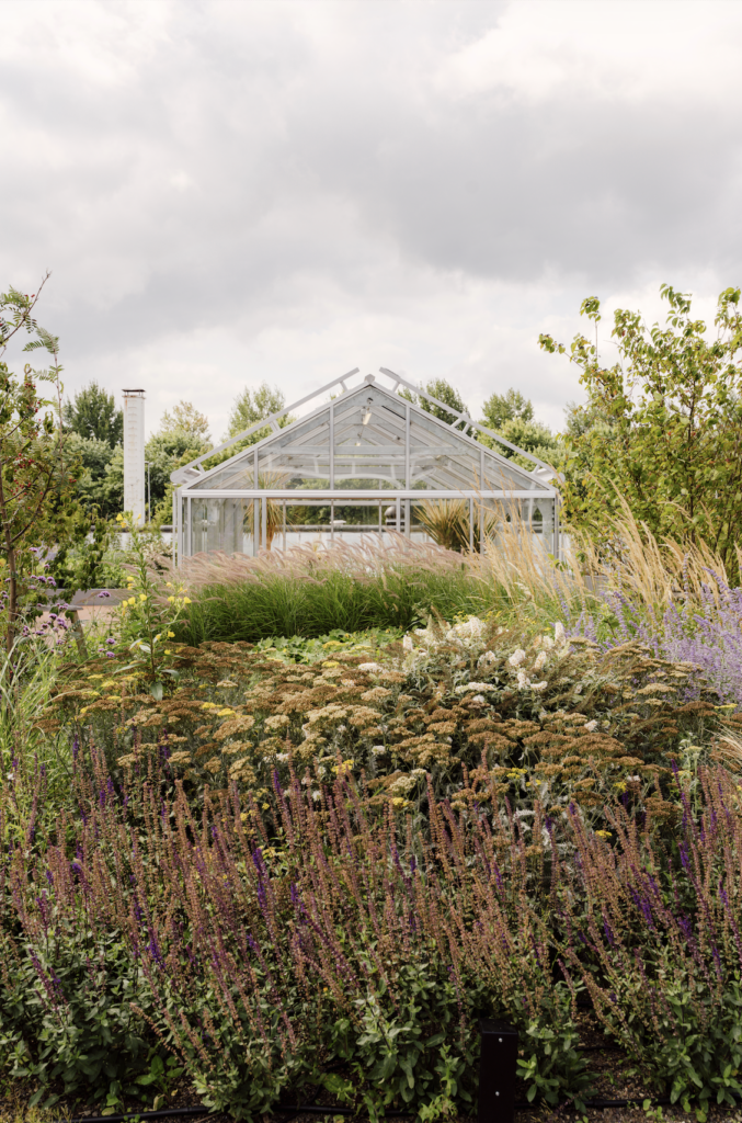 Rooftop greenhouse surrounded by naturalistic planting and wildflowers at The Wearhouse Amsterdam
