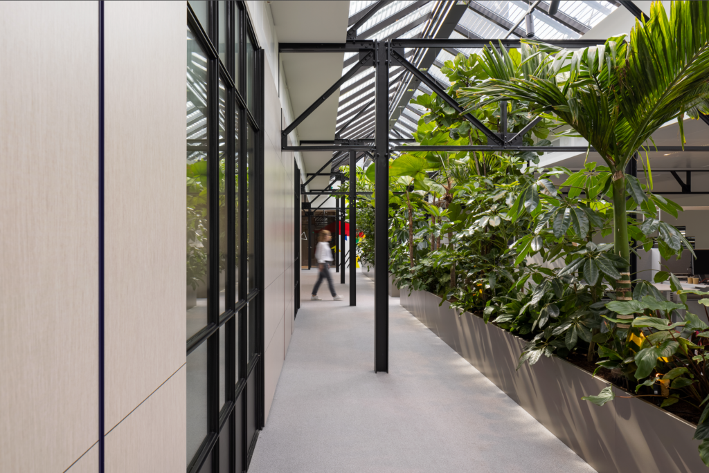 Biophilic office corridor at Guerrilla Games Amsterdam featuring lush tropical planting, integrated indoor trees, skylights, and contemporary workplace architecture designed by MOSS.
