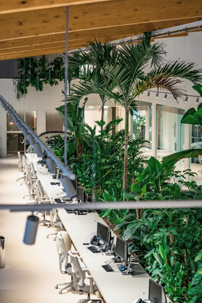 Open office workspace at Elho headquarters featuring integrated tropical planting, indoor palm trees, and biophilic workplace design by MOSS.