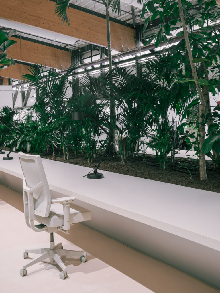 Indoor tropical garden with lush palms and architectural foliage integrated into the Elho headquarters office interior by MOSS.