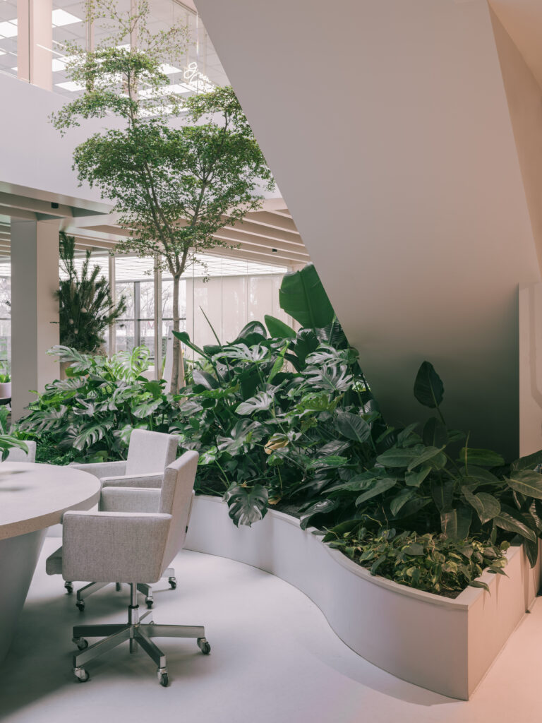 Large indoor tree and tropical planting integrated beneath the staircase at Elho headquarters in Tilburg, creating a biophilic workplace designed by MOSS.