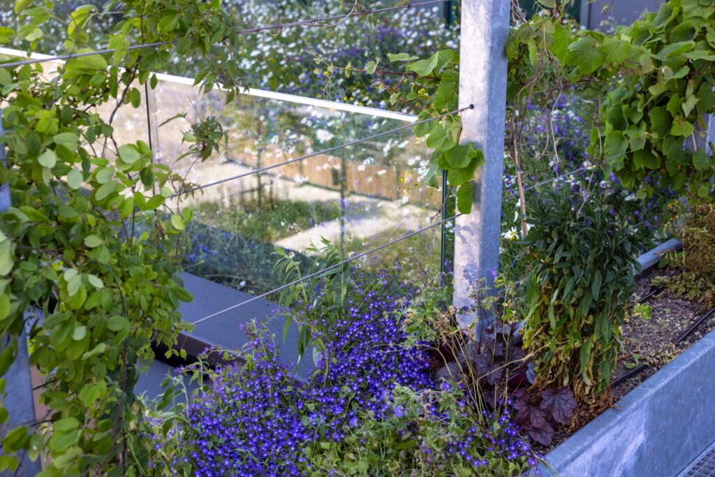 Close-up of the biodiverse rooftop garden at Max & Moore Amsterdam featuring flowering perennials, climbing plants, and native greenery integrated into a sustainable green roof and outdoor workspace.