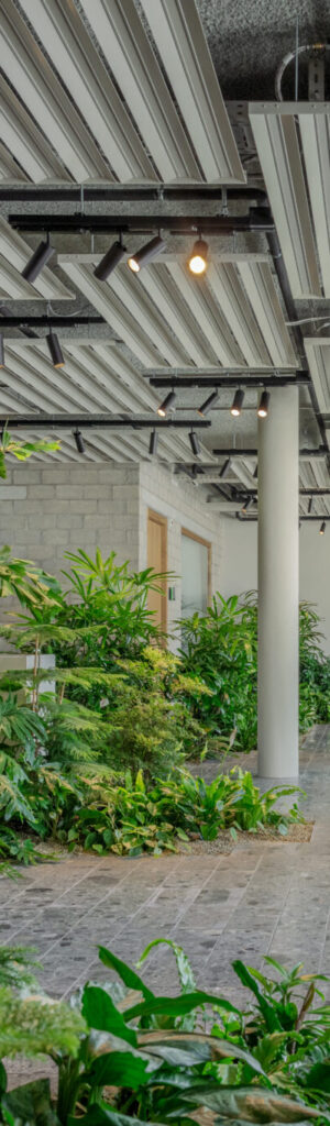 Indoor biophilic office design with lush tropical planting integrated into a modern workspace interior.