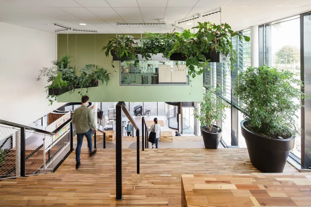 Open educational interior at Aeres Hogeschool Almere featuring hanging planters, natural materials, and daylight-filled biophilic design by MOSS.