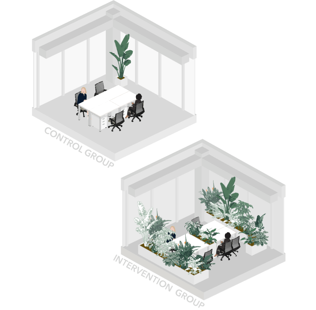 Comparison of office workspace before and after a biophilic design intervention, showing the impact of indoor plants on workplace attractiveness and employee well-being.