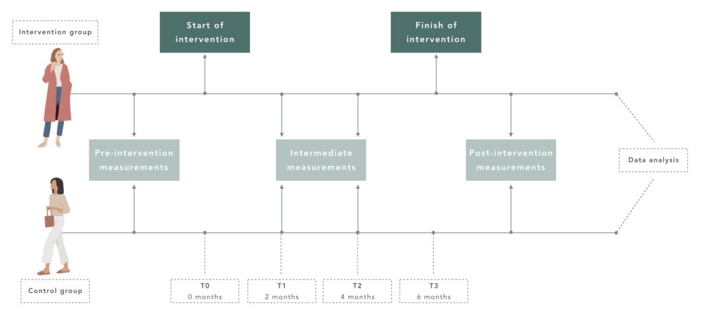 Research timeline illustrating the methodology and intervention phases of the MOSS Lab 3.0 workplace greenery study.