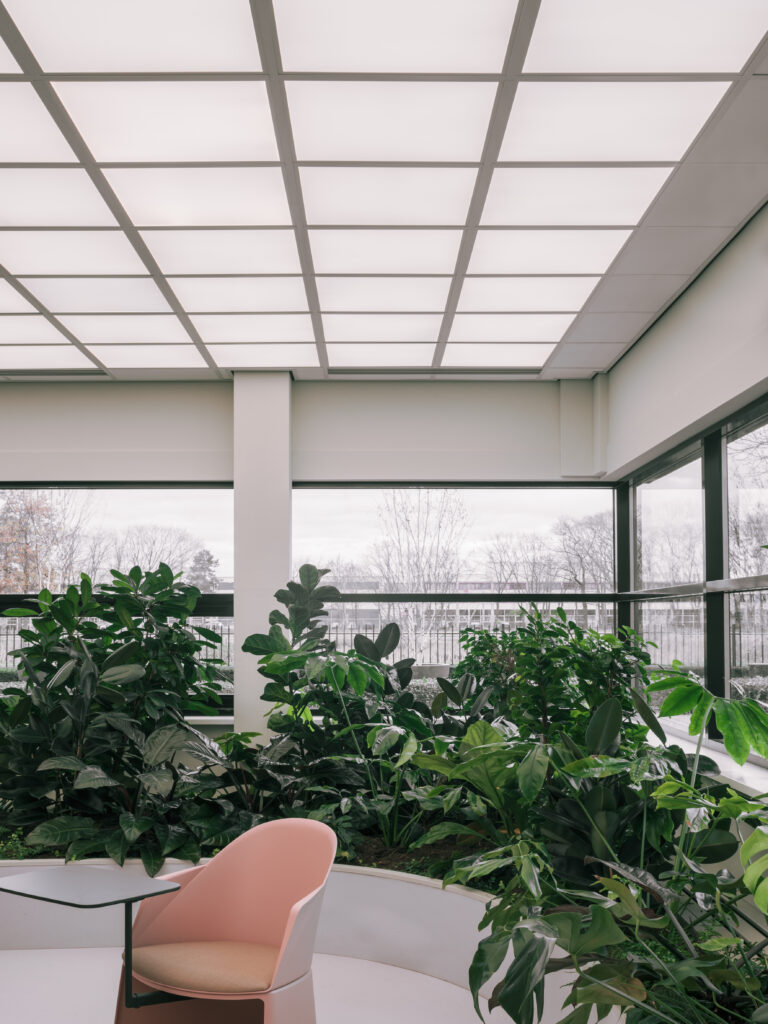 Collaborative meeting area surrounded by lush tropical planting beneath a staircase at Elho headquarters, designed by MOSS using biophilic design principles.