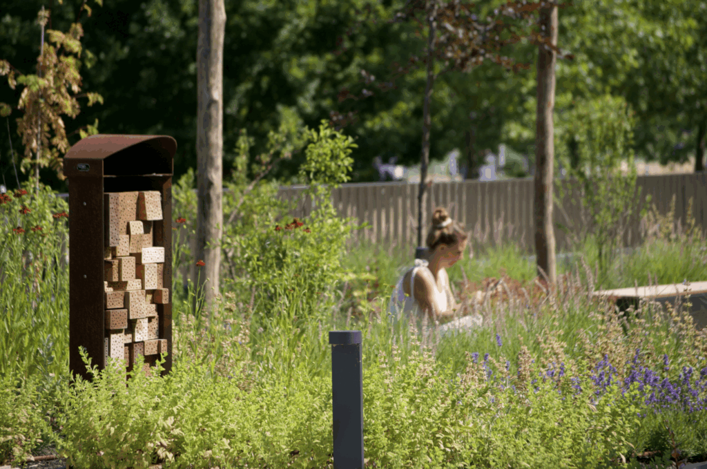 AM Office Utrecht biodiverse garden with insect hotel, naturalistic planting and biophilic landscape design