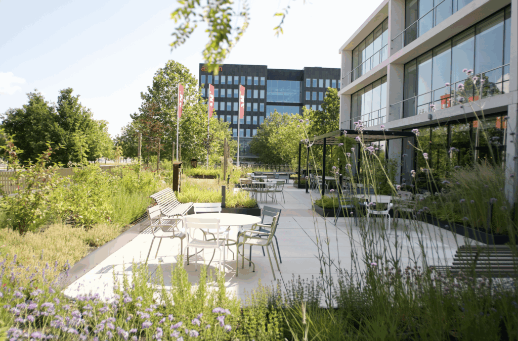 AM Office Utrecht green terrace with outdoor seating, pergola and naturalistic planting in biophilic office design