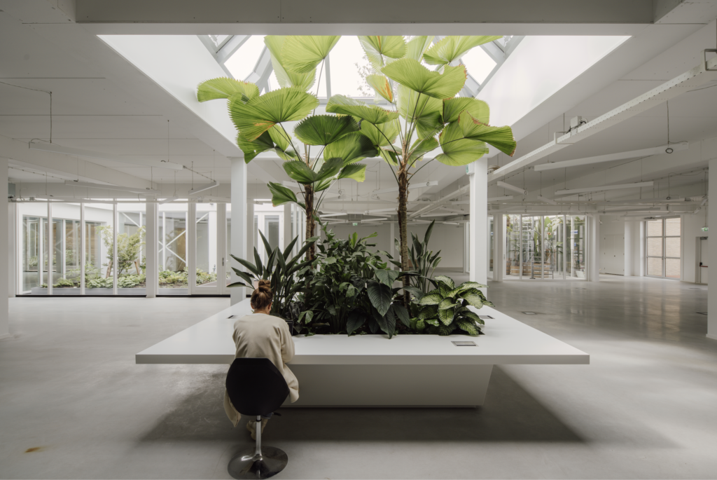 Indoor jungle table workspace with palm trees under skylight in biophilic office design at The Wearhouse Amsterdam