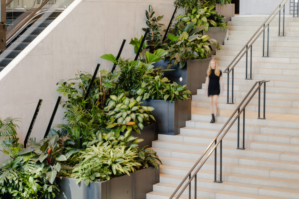 Layered indoor planting along office stairs at Booking.com Amsterdam biophilic design by MOSS