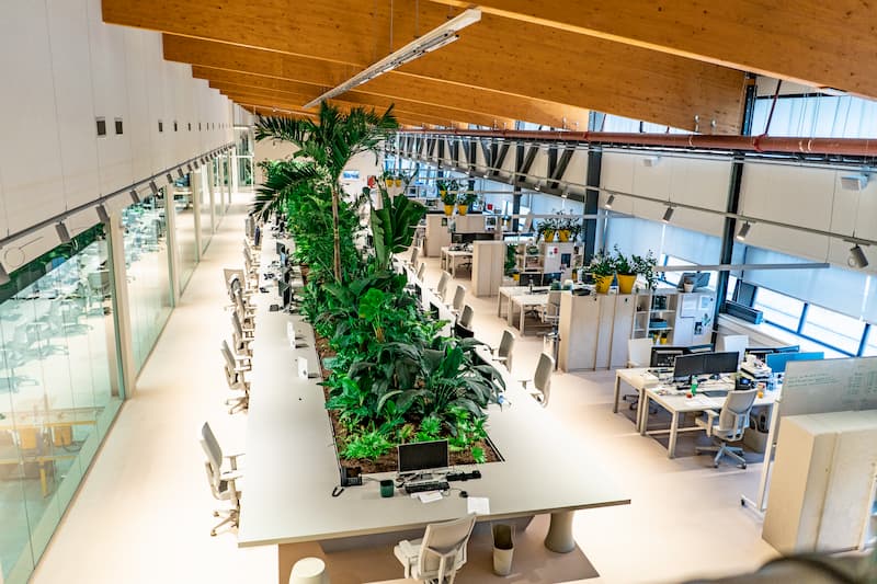 Central planted workspace at elho Tilburg with large indoor plant beds integrated into an open-plan biophilic office design.