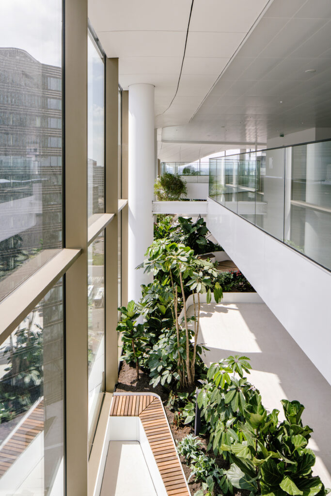 Indoor biophilic office park with wooden pathway, water feature and tropical planting at Central Park Utrecht by MOSS
