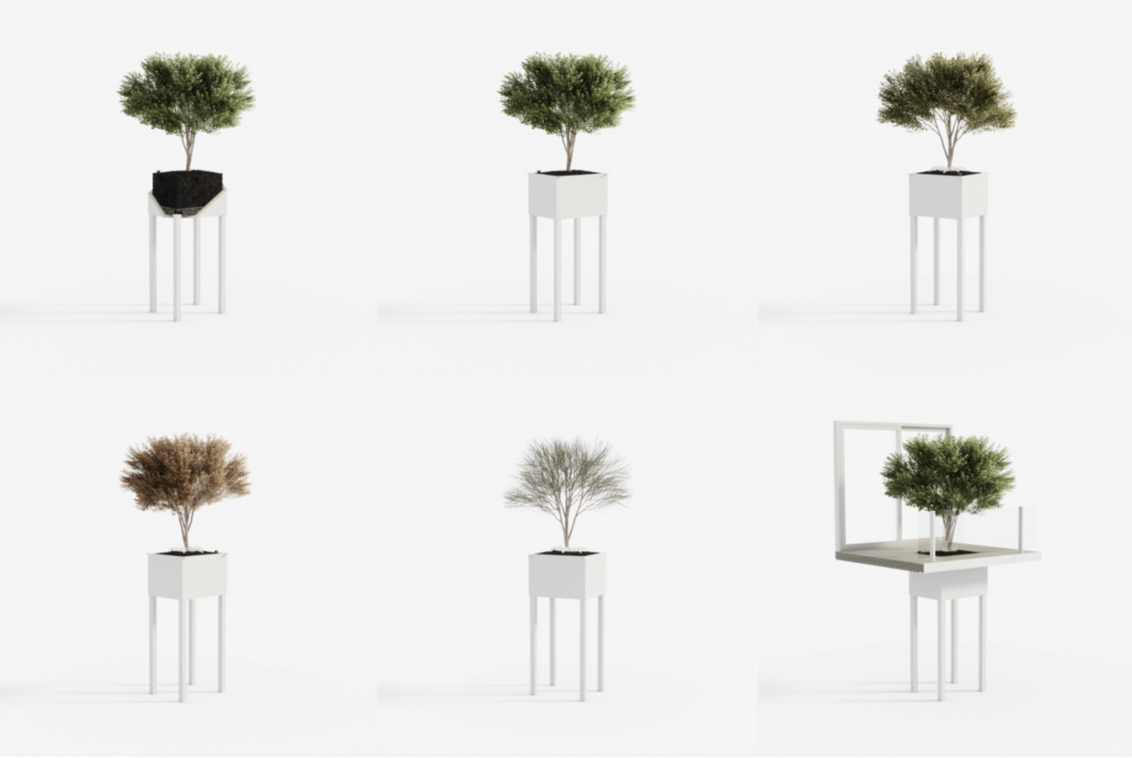Modular planter system with small trees for urban balconies and front gardens
