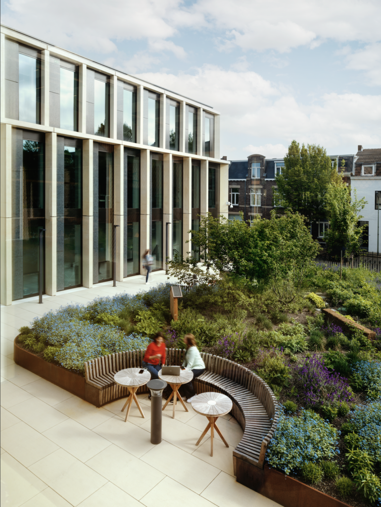 Sustainable courtyard garden at DSM-Firmenich Maastricht with biodiversity planting, curved seating, and modern office façade