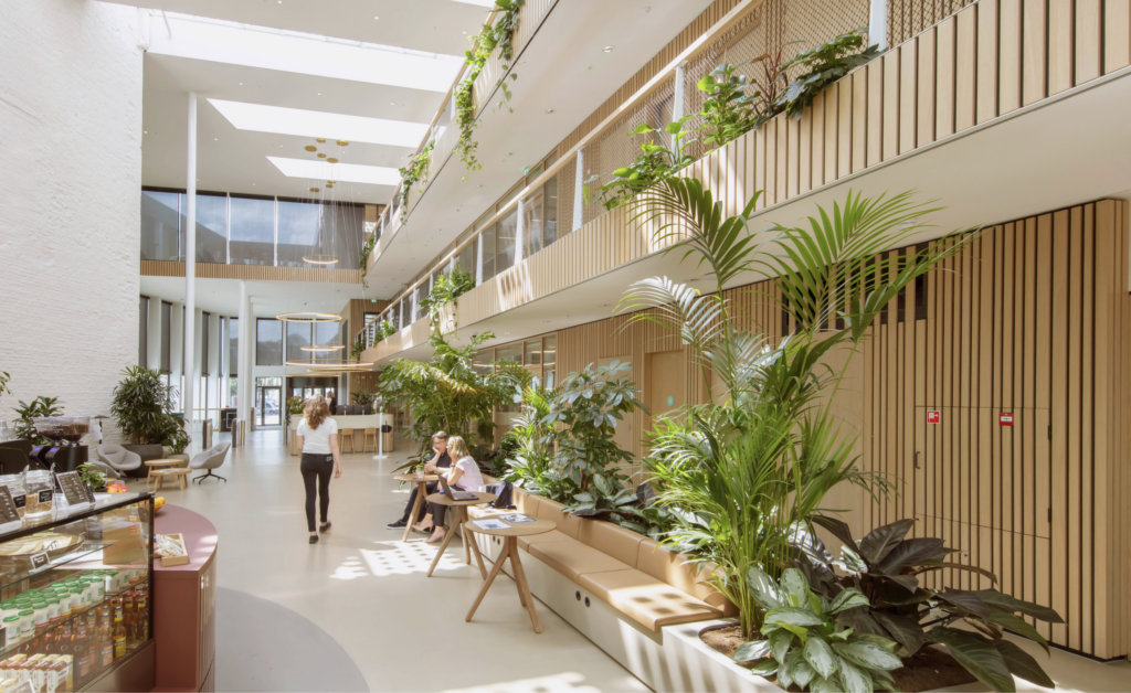 Biophilic atrium at DSM-Firmenich headquarters Maastricht featuring integrated indoor planting, seating areas, and natural daylight in a sustainable office interior