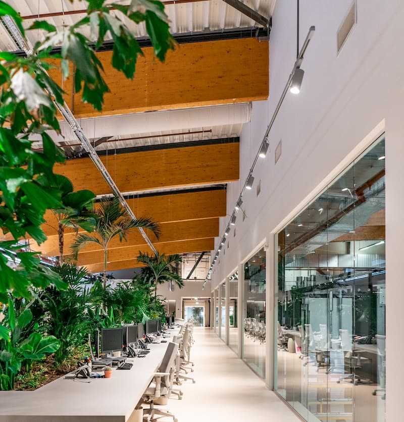 Biophilic office workspace with integrated indoor planting at elho headquarters Tilburg by MOSS