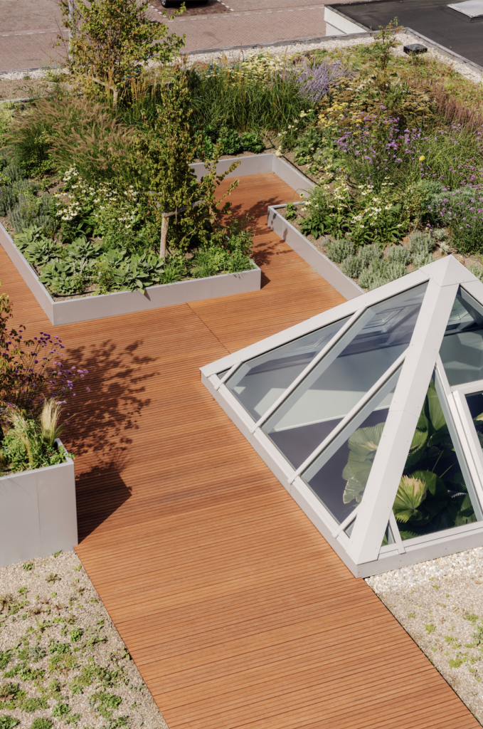 Wooden rooftop terrace leading to glass greenhouse with Mediterranean planting at The Wearhouse Amsterdam