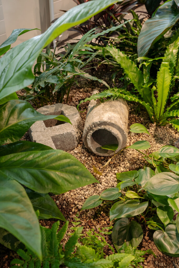Indoor planting with reused concrete elements at Holcim Switzerland biophilic office design