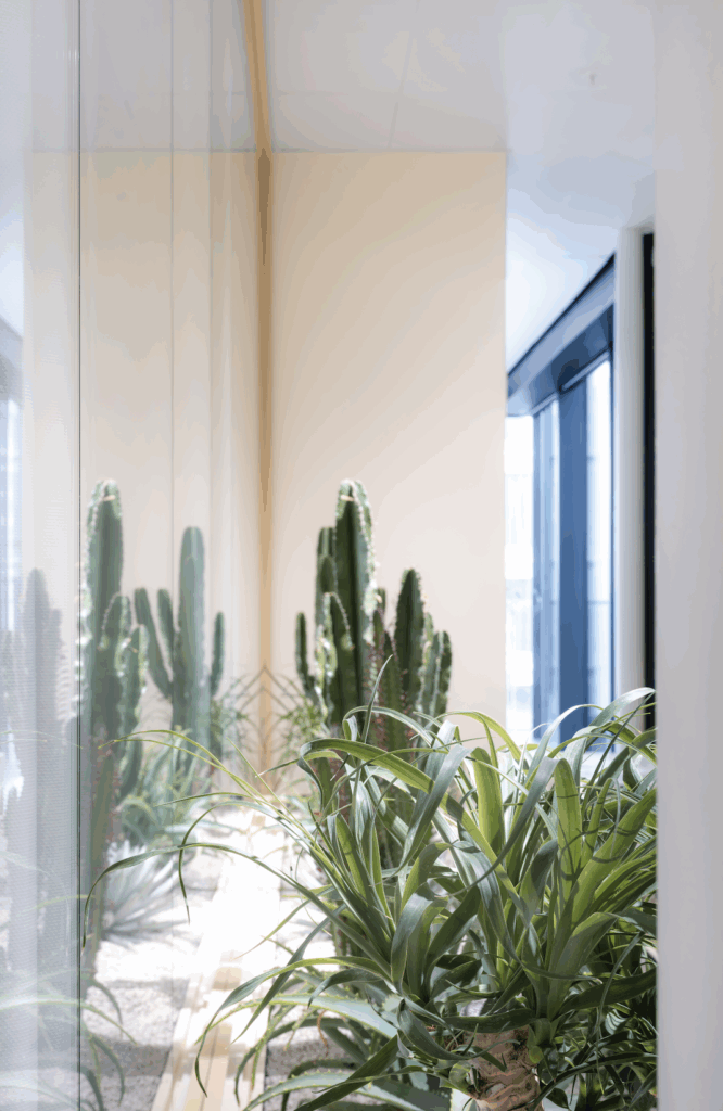 Biophilic office interior with cacti and tropical plants behind glass partition in JetBrains Amsterdam workplace design