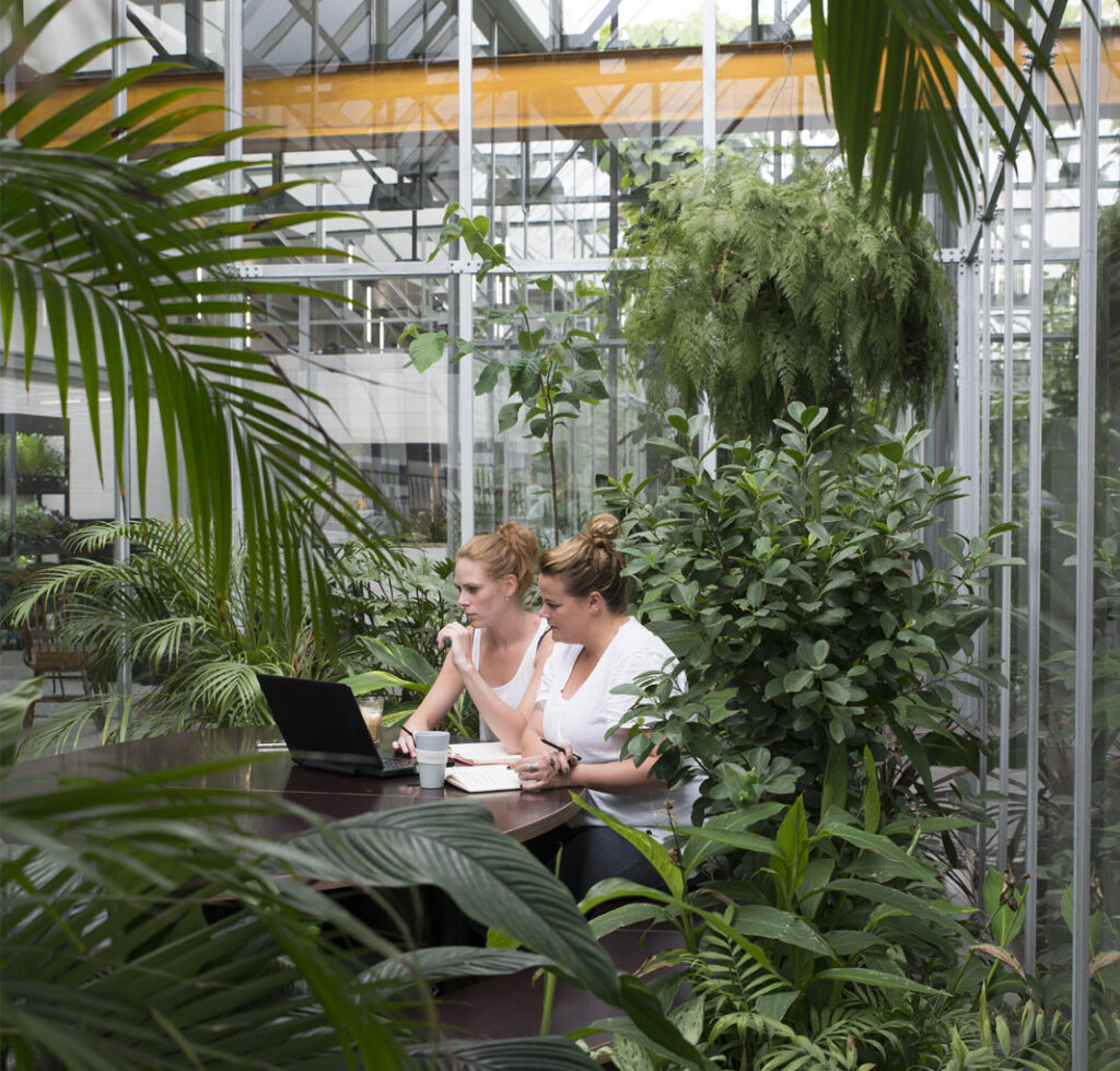 Employees working in a biophilic greenhouse workspace at Joolz Amsterdam designed by MOSS