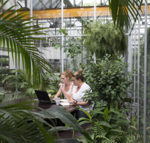 Employees working in a biophilic greenhouse workspace at Joolz Amsterdam designed by MOSS